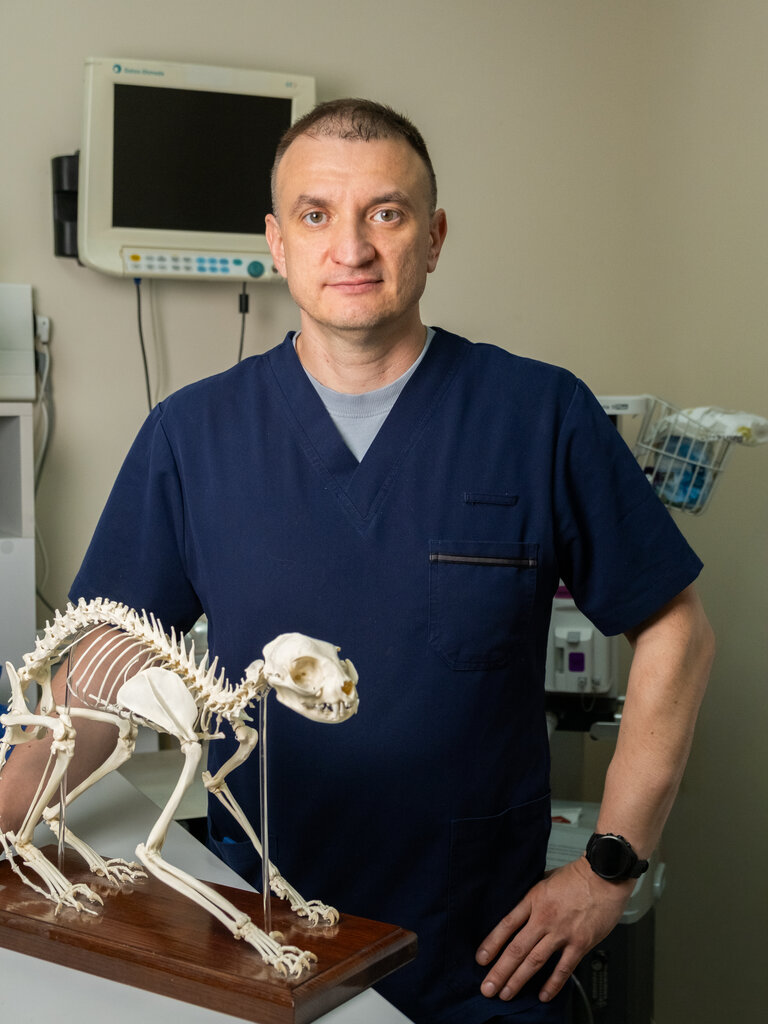 Гребініченко Андрій Дмитрович